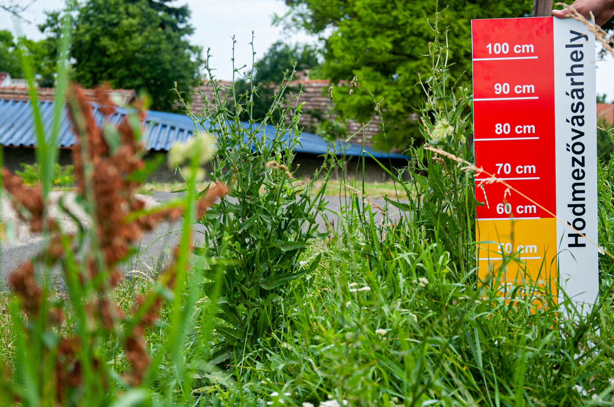 Gazban bukdácsol Vásárhely – siralmas állapotokat mutatunk 13