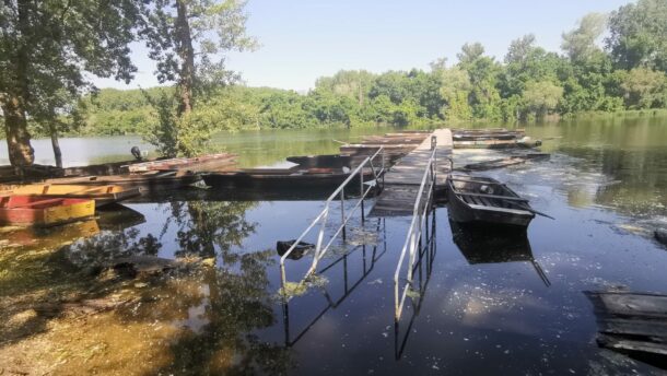 Mártélynál is magasan mossa a Tisza vize a partot