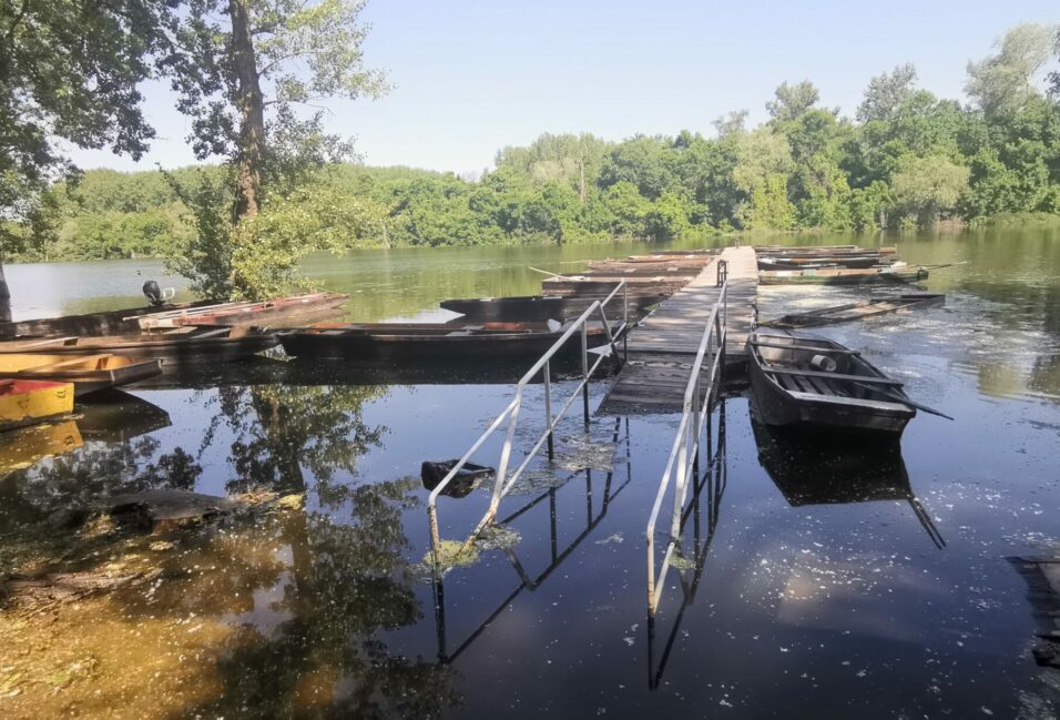 Mártélynál is magasan mossa a Tisza vize a partot