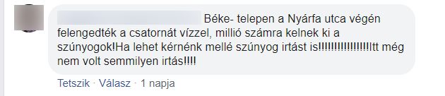 Nem javul a szúnyoghelyzet Vásárhelyen: folyamatosan panaszkodnak a lakosok 2