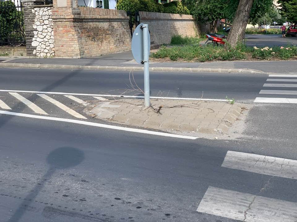 Benőtte a padot a gaz a Kaszap utcán