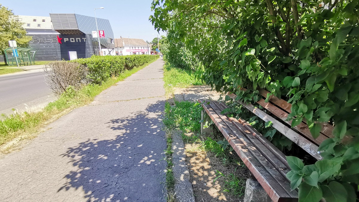 Csak az árnyék és a strand jelent menedéket a vásárhelyi forróságban 14