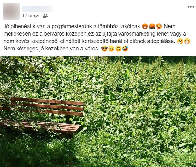 Dzsungel nőtt az Oldalkosár utcán