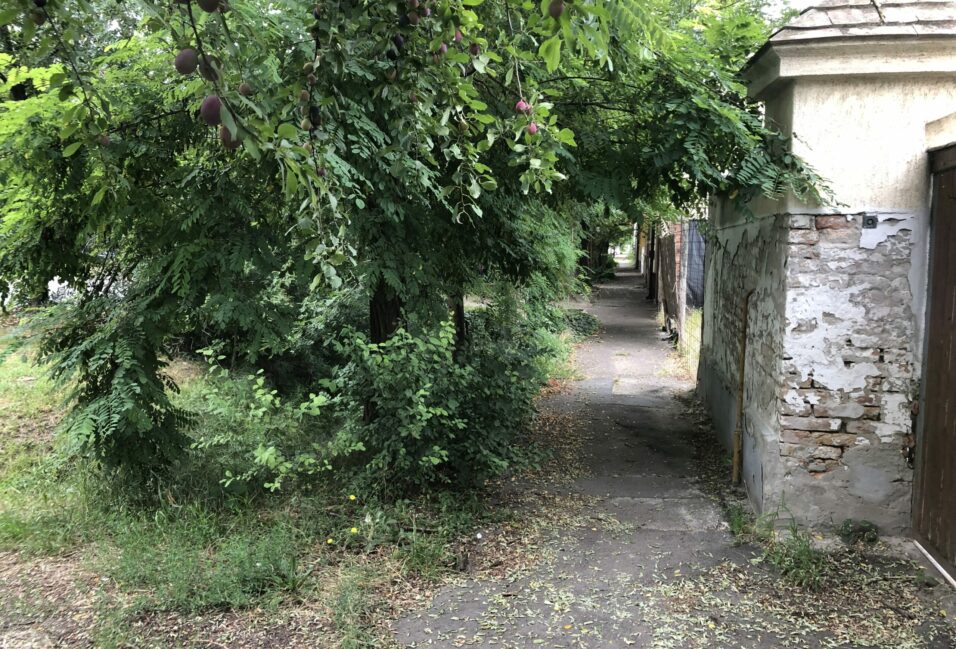 Panaszláda: tovább dagad a gazbotrány