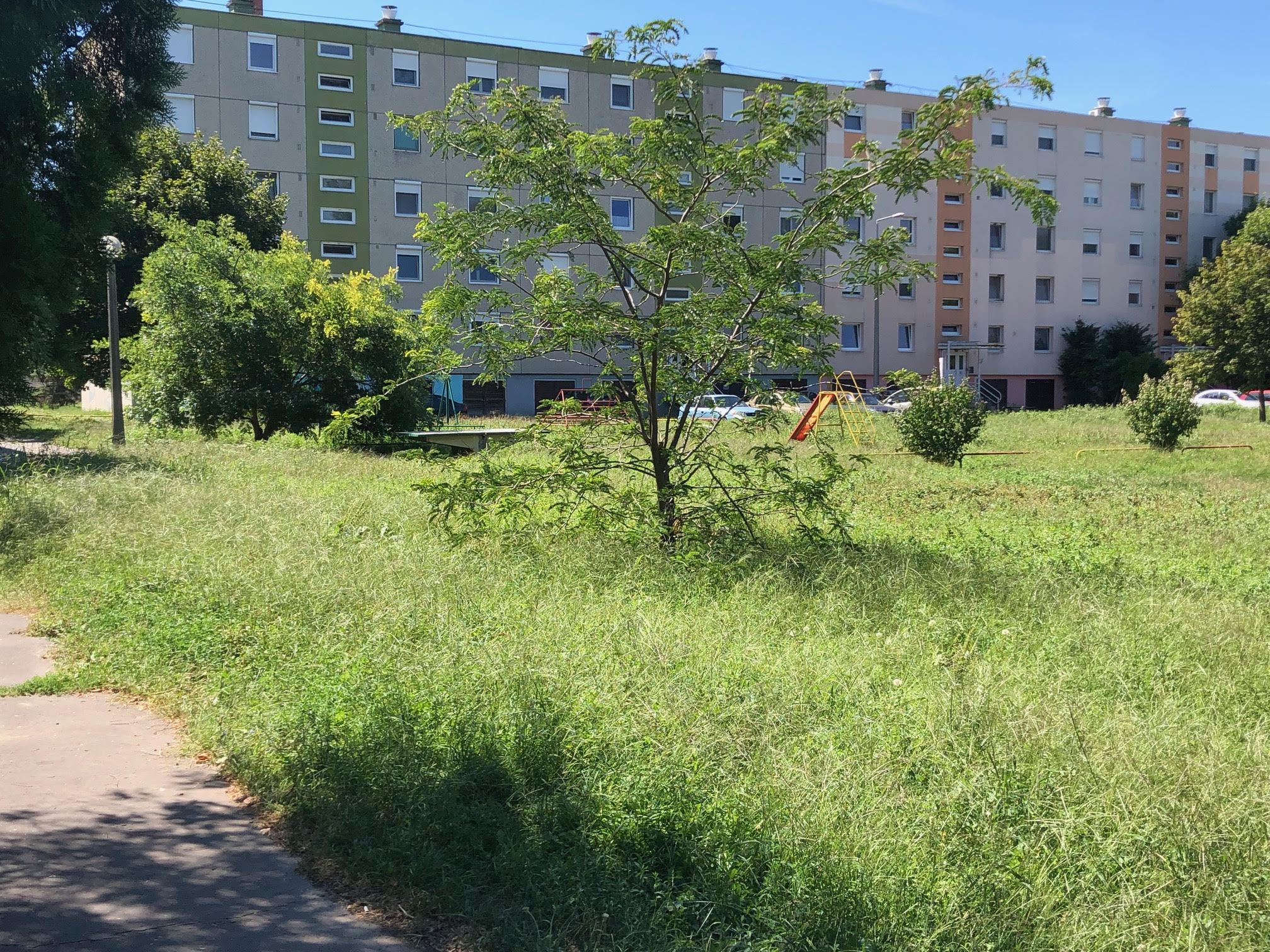 Elhanyagoltság, gazdátlanság a paneltömbök tövében