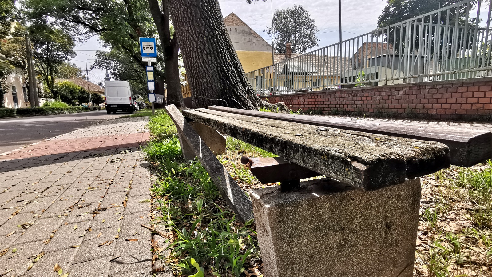 Már a Petőfi utcán is éktelenkedik a gaz 2