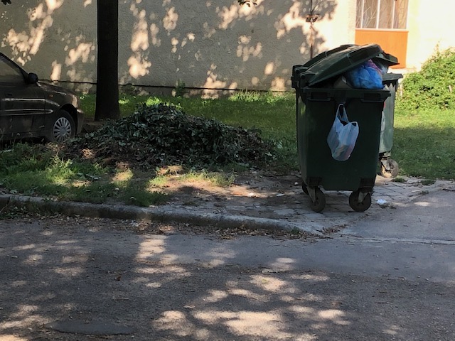 Szeméttől és zöldhulladéktól szenved a Kertváros 2