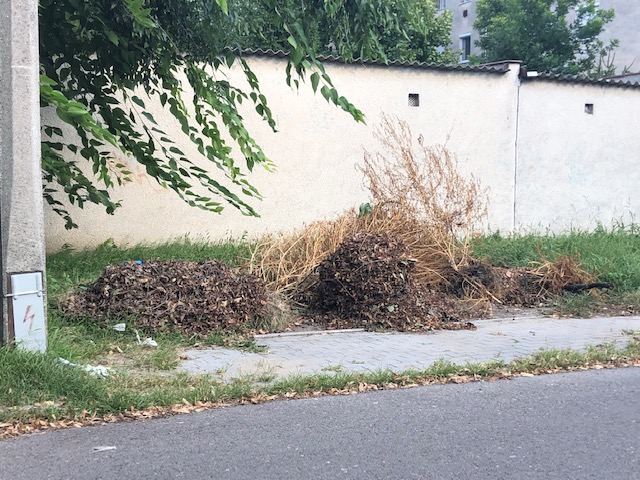 Szeméttől és zöldhulladéktól szenved a Kertváros 5