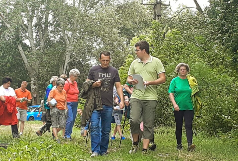 Turistajelzés festésre hívják a vásárhelyieket a Kása-erdőben 2