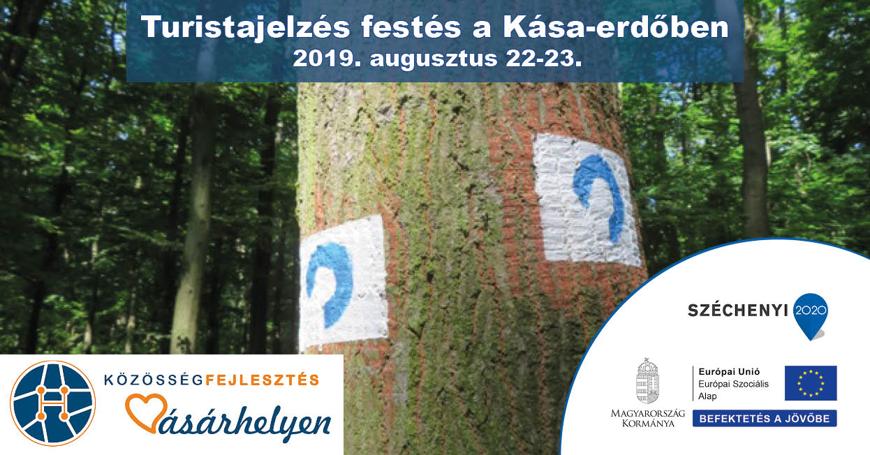 Turistajelzés festésre hívják a vásárhelyieket a Kása-erdőben