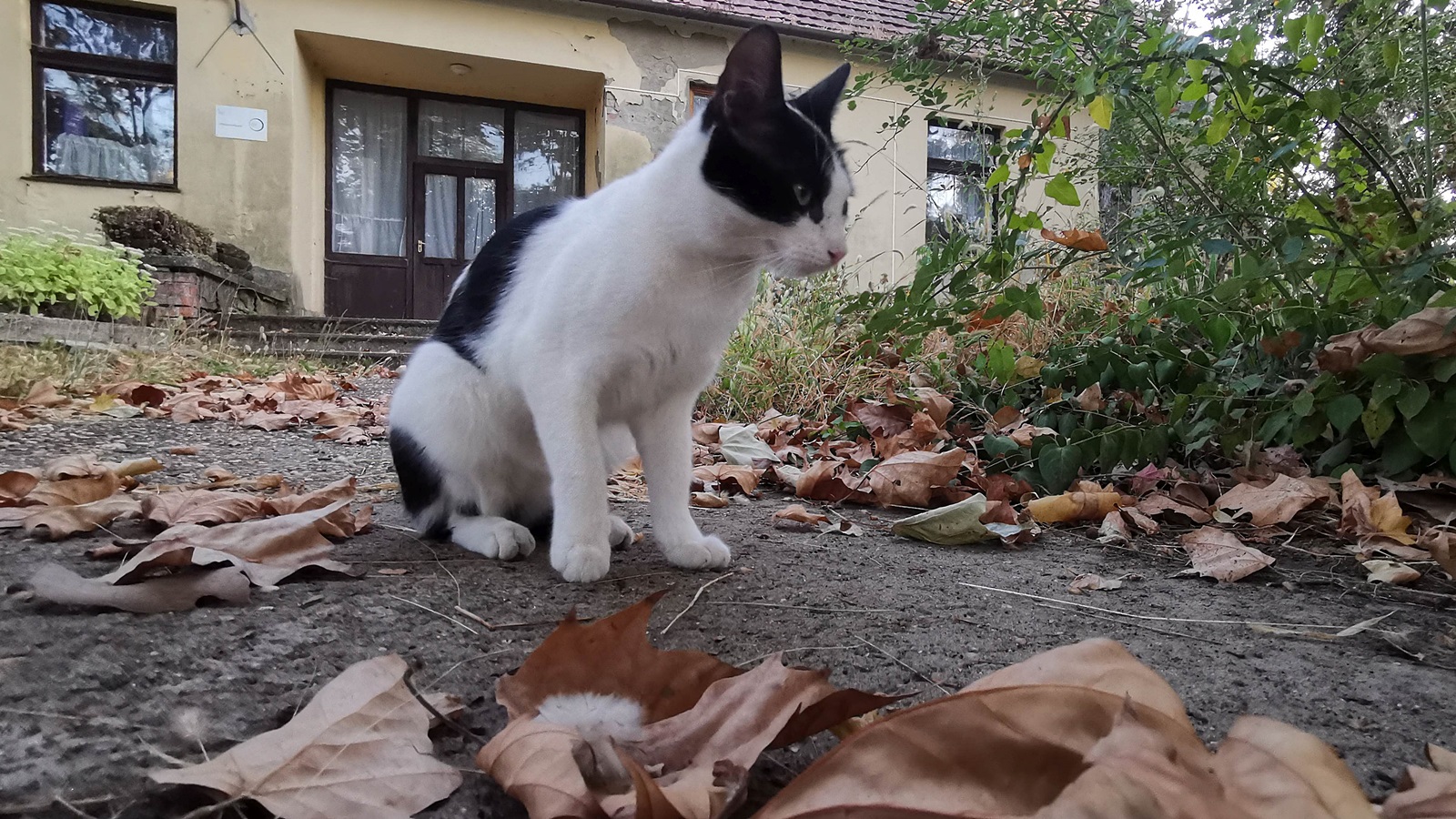 Erzsébeti Olvasókör