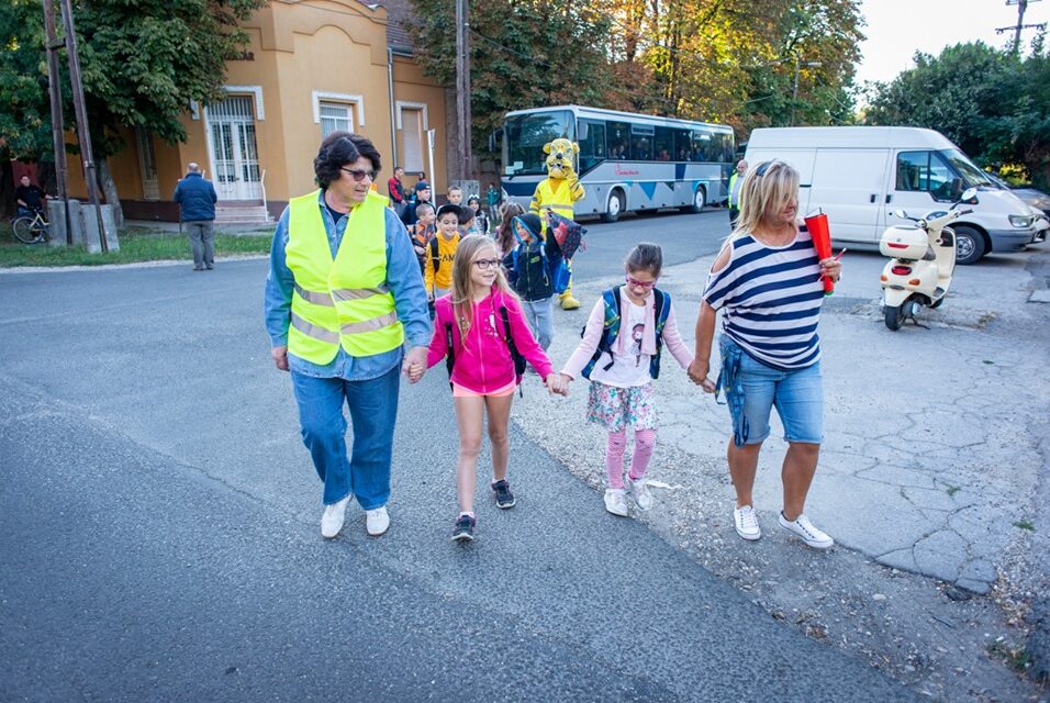 Csütörtök reggel Újvároson segített a tigris