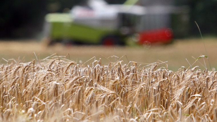 Nagy lehetőségek rejlenek Magyarország digitális agrárstratégiájában