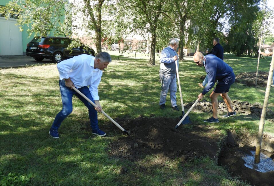 Öt év alatt tízezer fát ültetne Grezsa István Vásárhelyen 8