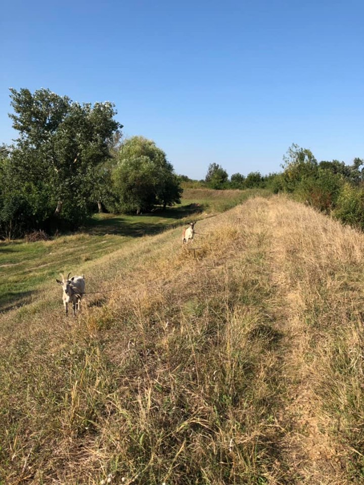 Rapcsák Katalin megmutatta a tabáni idillt 1