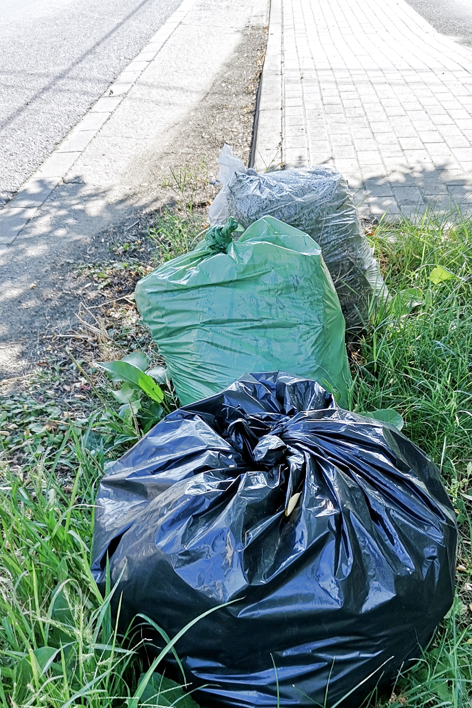 Szemetes a város! – Újabb fotók az elhanyagolt Vásárhelyről 3