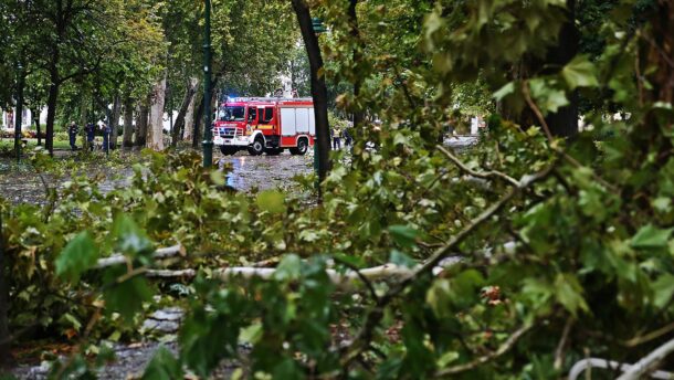 Tombol a vihar Vásárhelyen és Szegeden: fák dőltek az útra, vezetékek szakadtak le 1