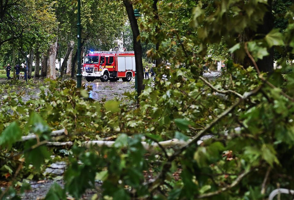 Tombol a vihar Vásárhelyen és Szegeden: fák dőltek az útra, vezetékek szakadtak le 1