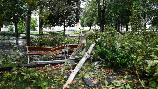 Tombol a vihar Vásárhelyen és Szegeden: fák dőltek az útra, vezetékek szakadtak le 2