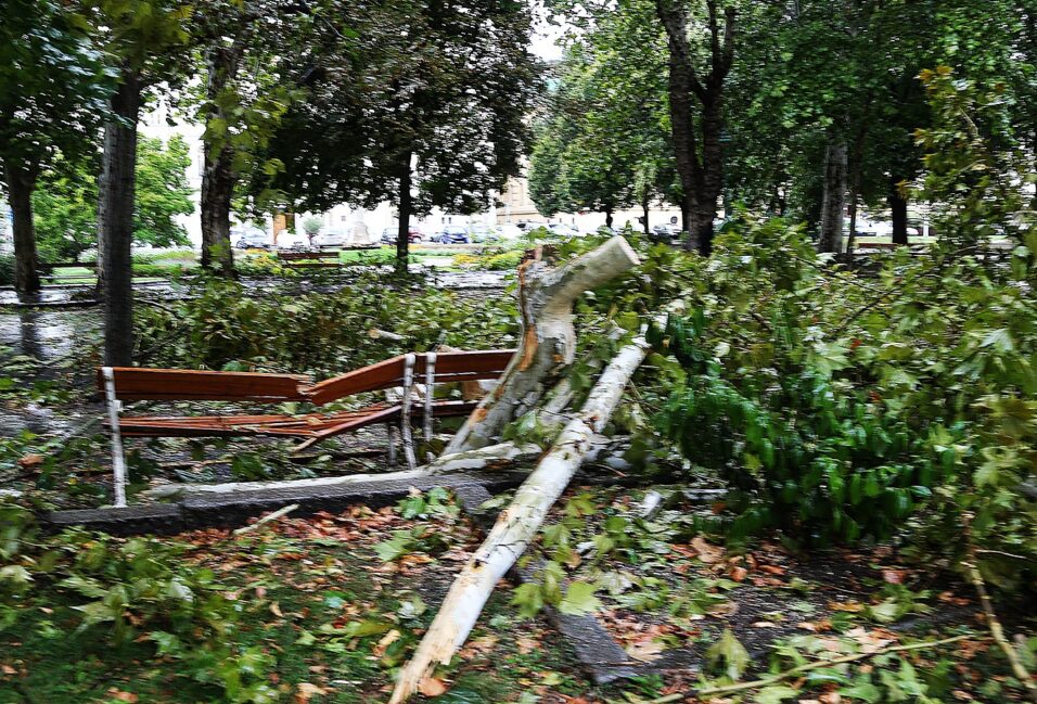 Tombol a vihar Vásárhelyen és Szegeden: fák dőltek az útra, vezetékek szakadtak le 2