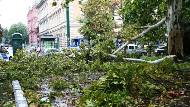 Tombol a vihar Vásárhelyen és Szegeden: fák dőltek az útra, vezetékek szakadtak le