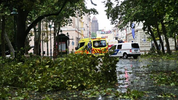 Tombol a vihar Vásárhelyen és Szegeden: fák dőltek az útra, vezetékek szakadtak le 7