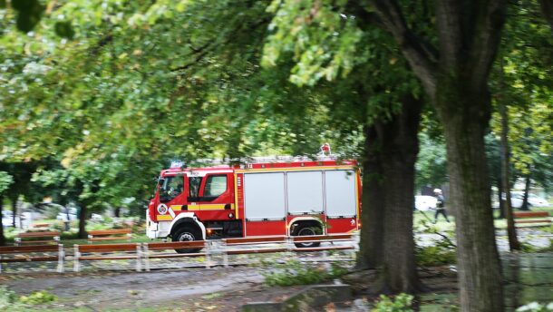 Tombol a vihar Vásárhelyen és Szegeden: fák dőltek az útra, vezetékek szakadtak le 8