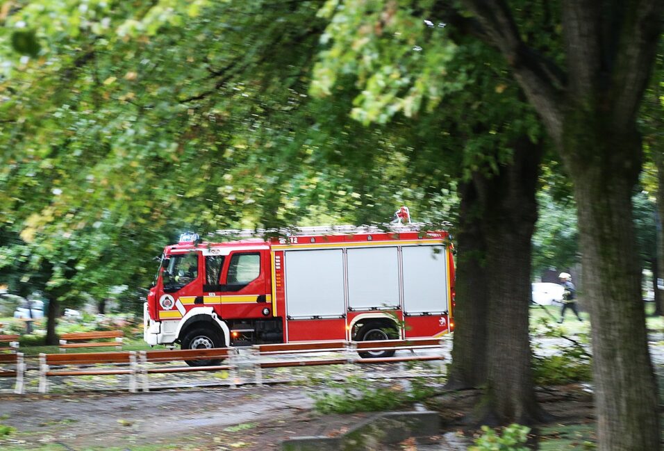 Tombol a vihar Vásárhelyen és Szegeden: fák dőltek az útra, vezetékek szakadtak le 8