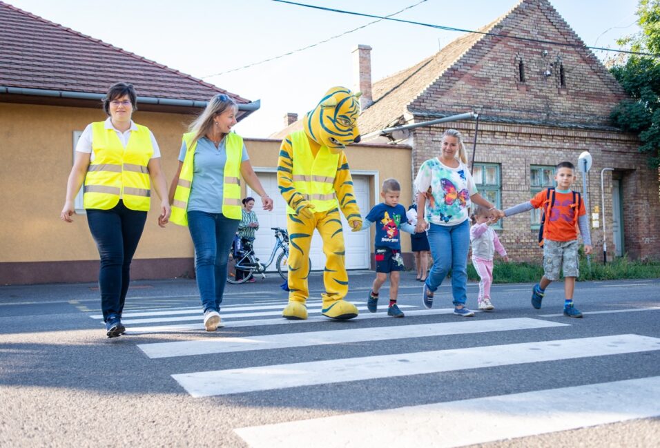 Véget ért a Szeretem Vásárhelyt Zebra-akciója