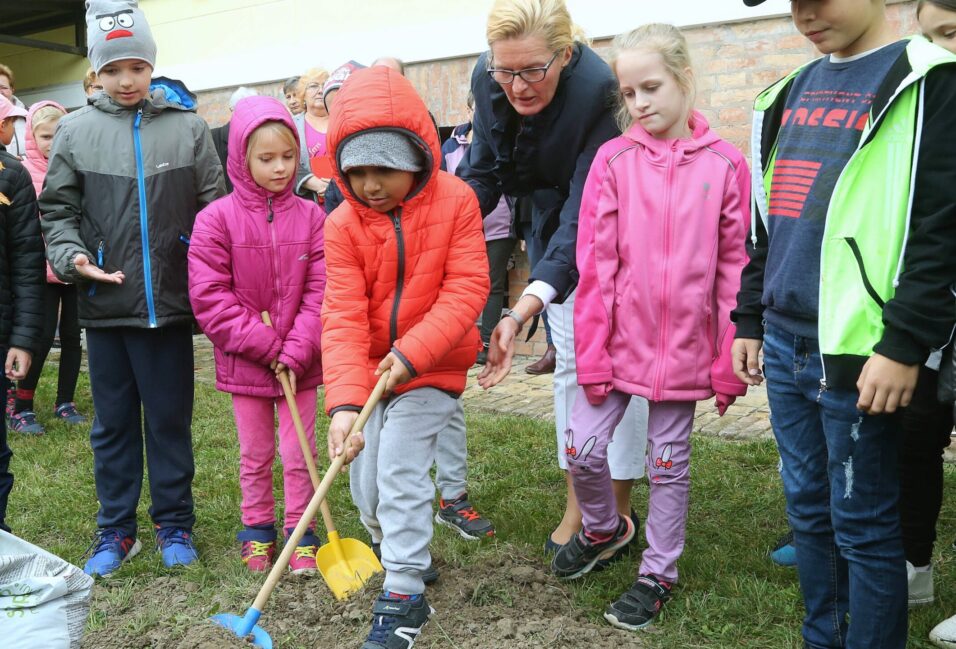 Fát ültettek a Szent István Iskola diákjai