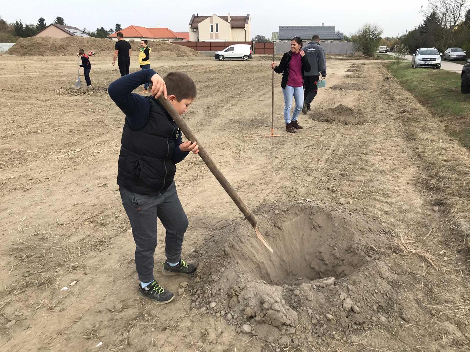 A vásárhelyi judósok is fát ültettek a Judo Világnapján 10