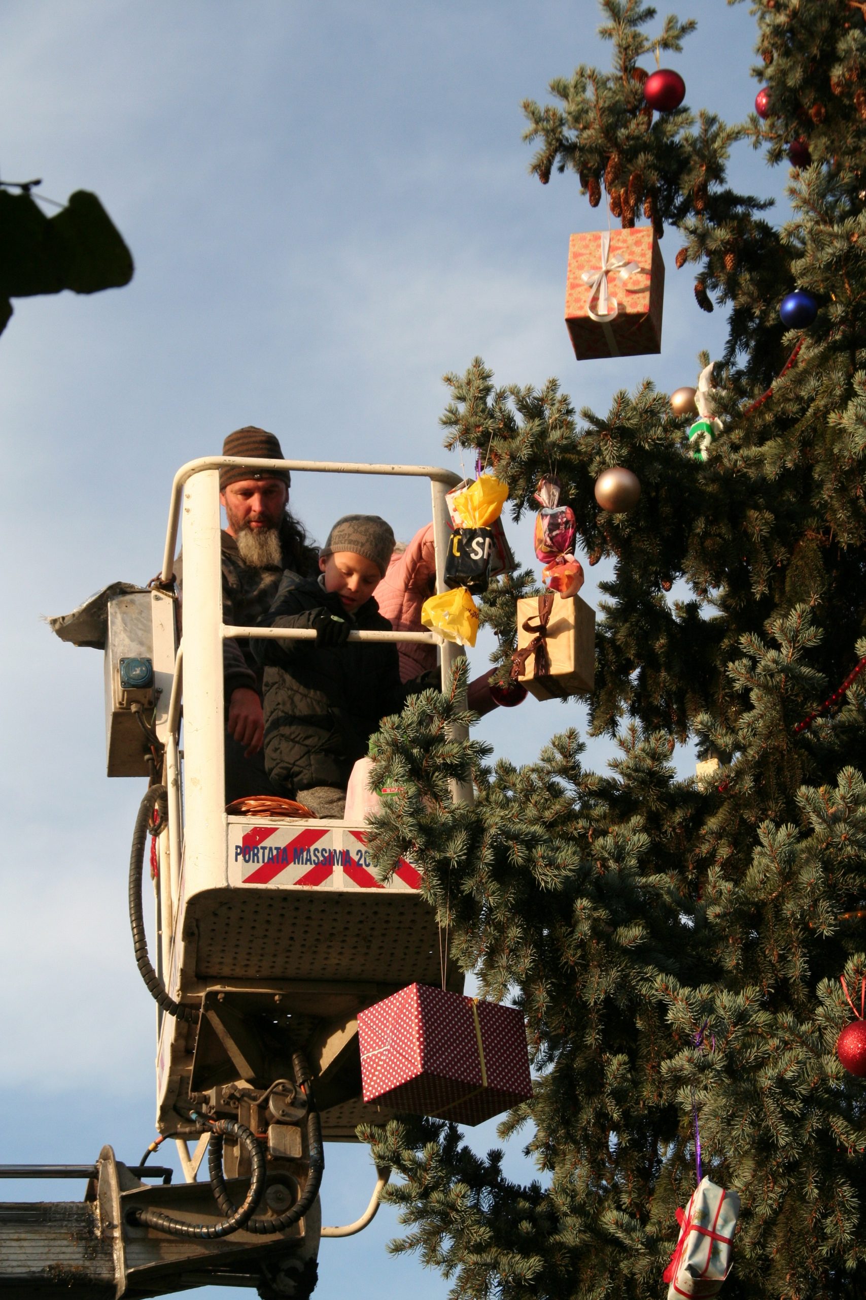 Adventi ünnep Klárafalván, fenyődíszítéssel 10