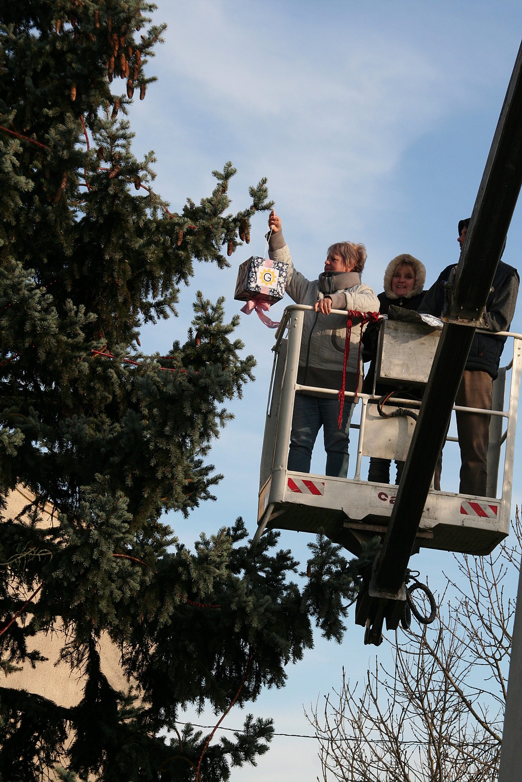 Adventi ünnep Klárafalván, fenyődíszítéssel 2