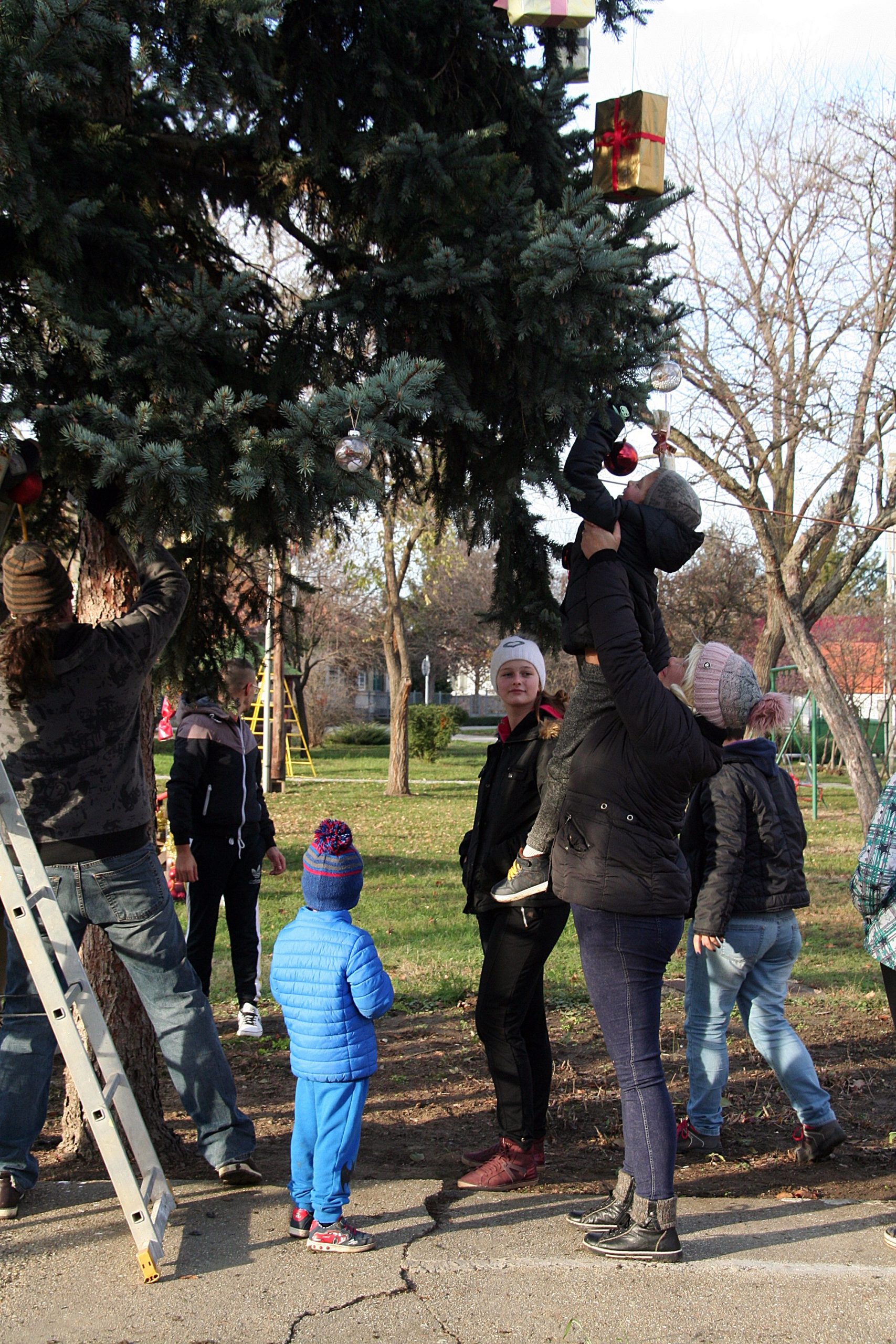 Adventi ünnep Klárafalván, fenyődíszítéssel 8