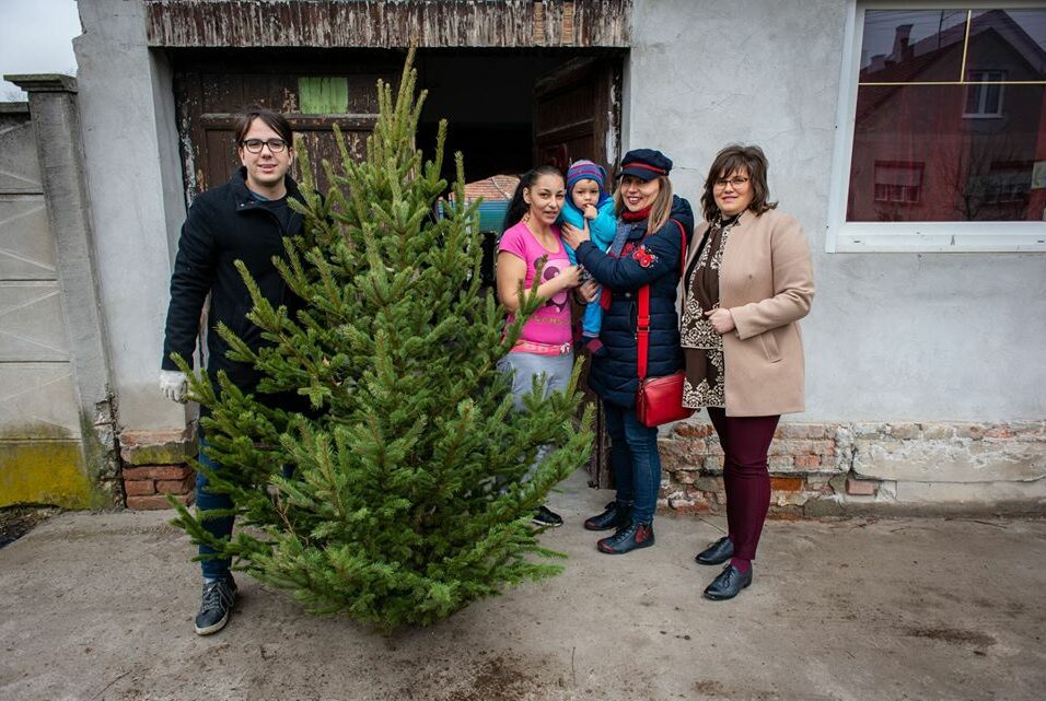 Karácsonyfákat vitt ajándékba a Szeretem Vásárhelyt Egyesület