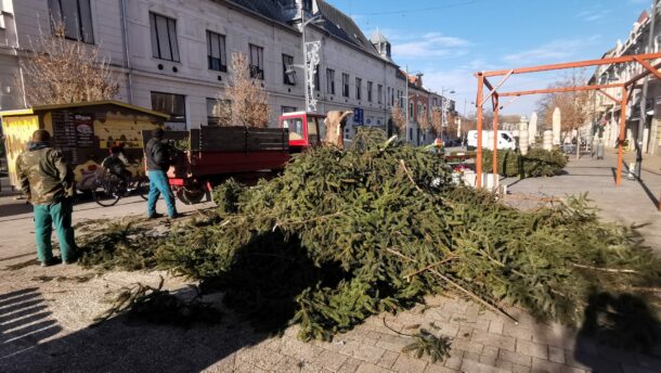 Lebontották a város karácsonyfáját