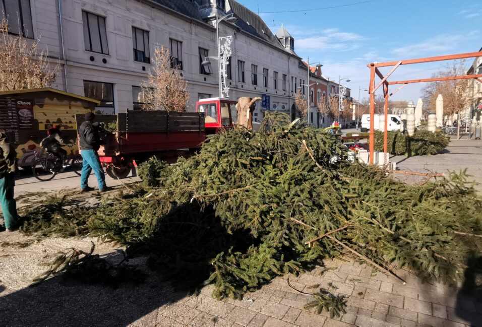 Lebontották a város karácsonyfáját