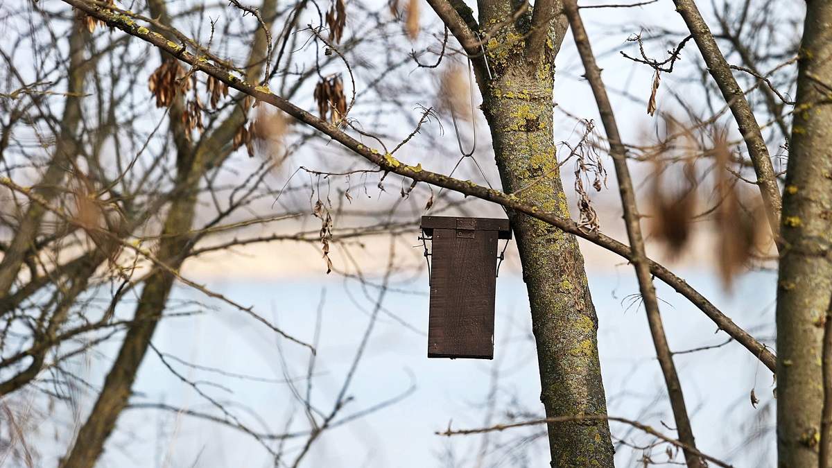 Téli arcát mutatja a Téglagyári Tanösvény (fotók)