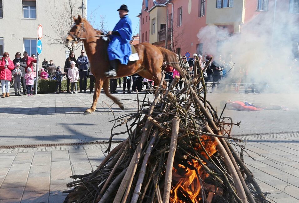 Lovas Farsang Vásárhelyen