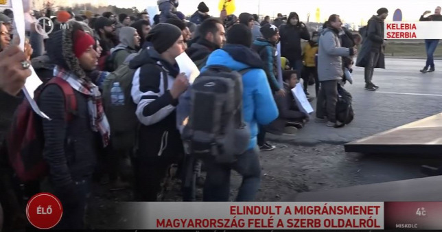 Megérkezett a migránsmenet a magyar határra 1