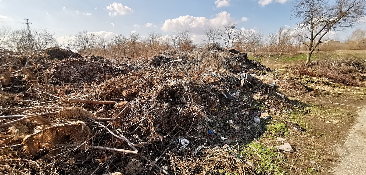 Panaszláda: borzasztóan szemetes a szennyvíztelep felé vezető út! 3