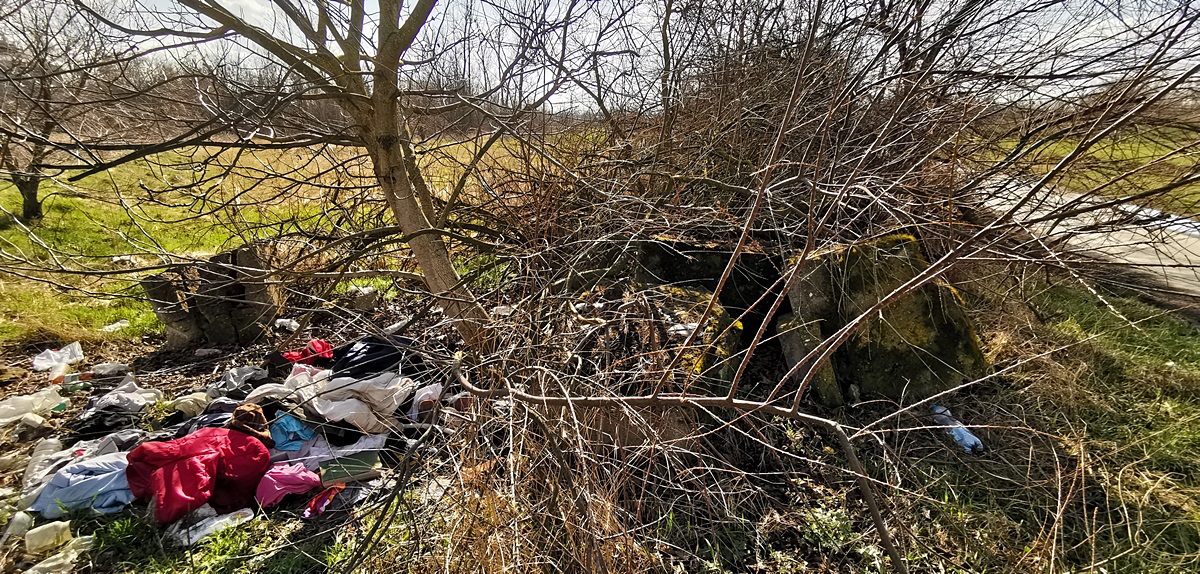 Panaszláda: borzasztóan szemetes a szennyvíztelep felé vezető út! 8