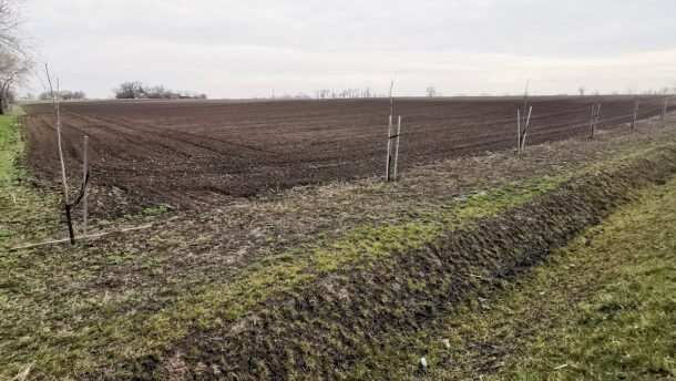 Több mint kétmillió forintot ér egy hektár föld Csongrád megyében 2