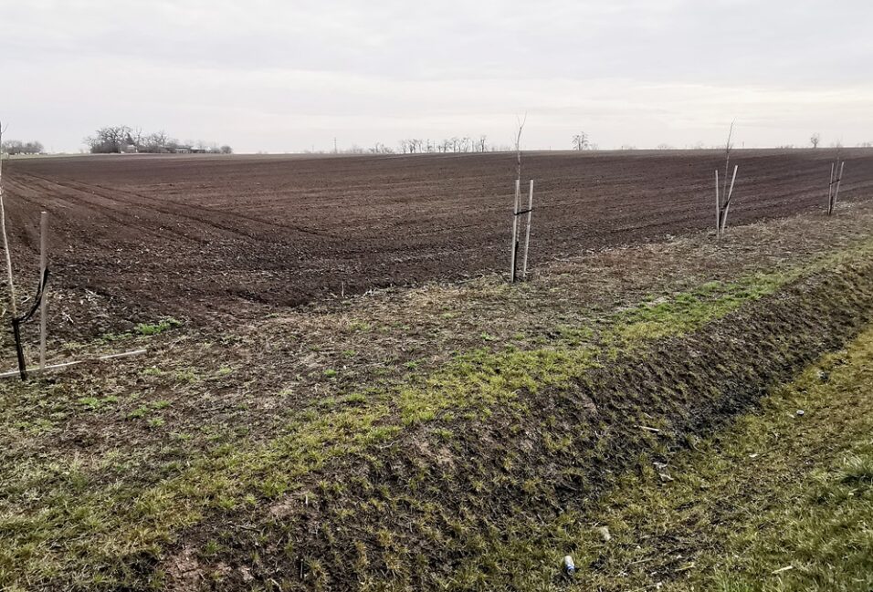 Több mint kétmillió forintot ér egy hektár föld Csongrád megyében 2