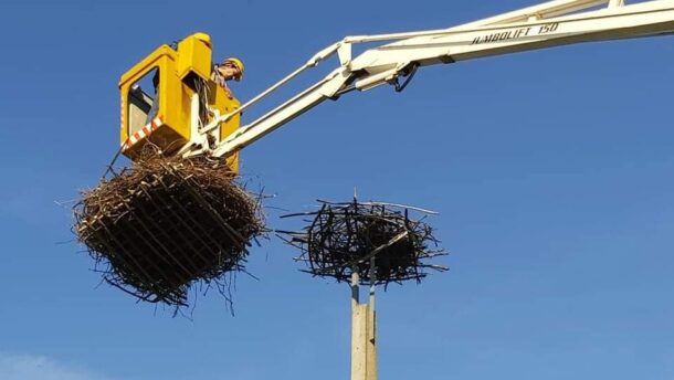 Új fészkekkel várják a gólyákat Vásárhelyen