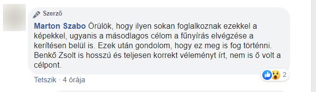 Szikáncs fuldoklik a gazban – Kis Andrea felelősségét firtatja a Márki-Zay-tábor is 3