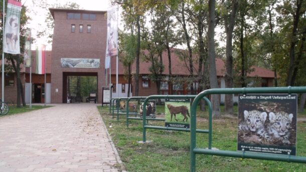 Zoopedagógiai sorozatot indított a világhálón a Szegedi Vadaspark