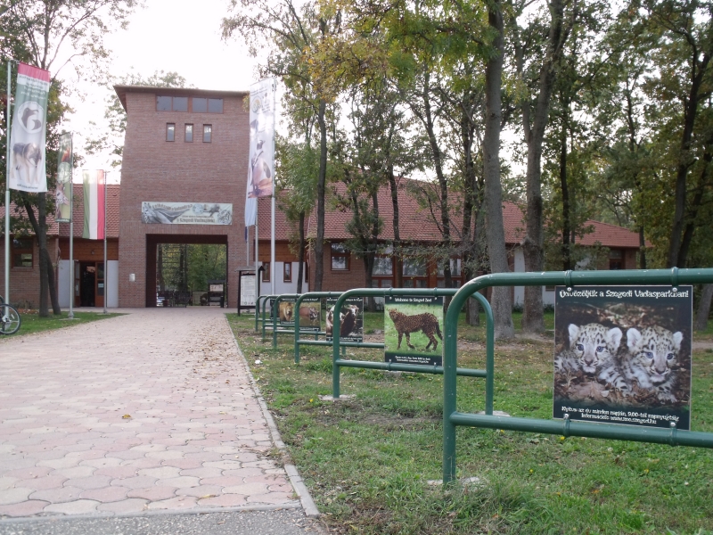 Zoopedagógiai sorozatot indított a világhálón a Szegedi Vadaspark