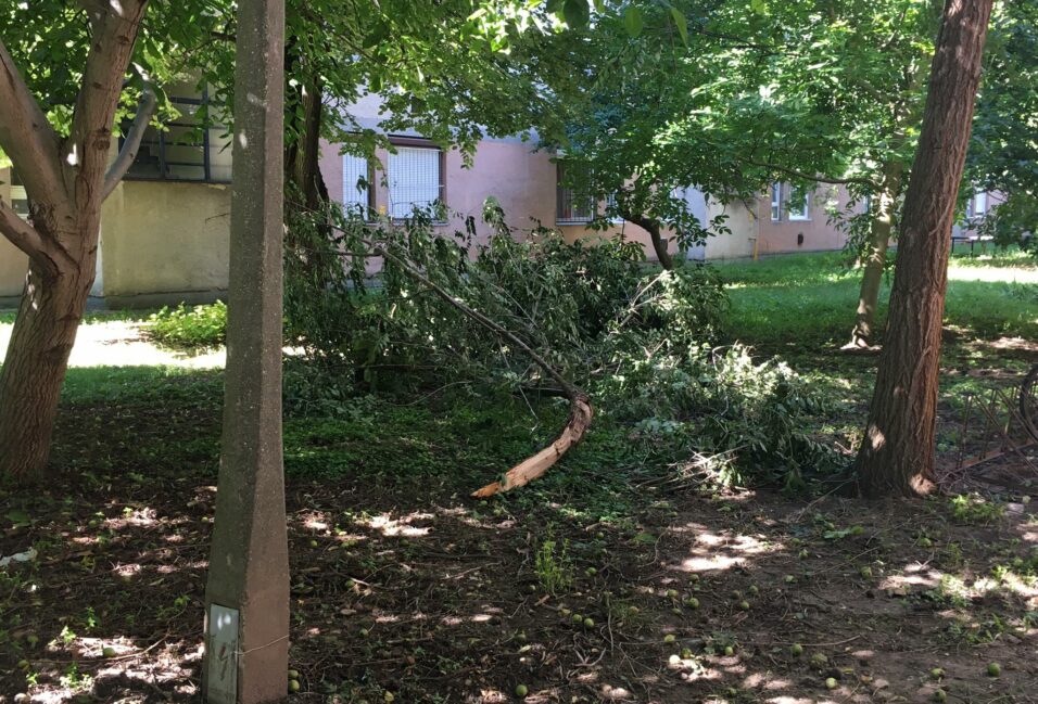 Vásárhelyen adta a legtöbb munkát a vihar a tűzoltóknak