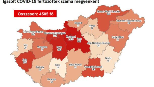 Automatikus vázlat 785